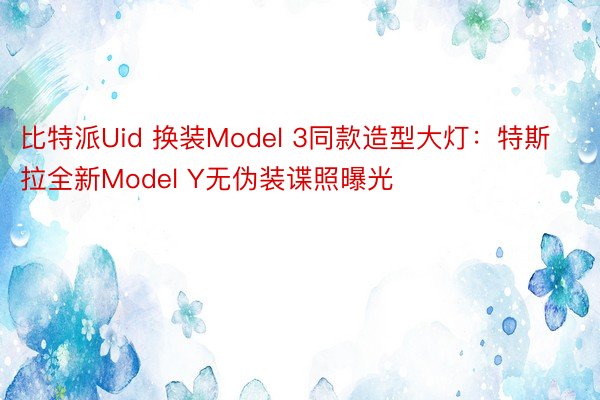 比特派Uid 换装Model 3同款造型大灯：特斯拉全新Model Y无伪装谍照曝光